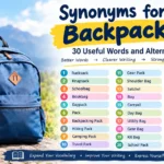 synonyms for backpack