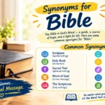 synonyms for bible