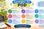 synonyms for pod