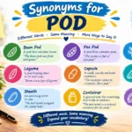 synonyms for pod