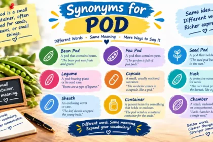 synonyms for pod