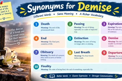 synonyms for demise