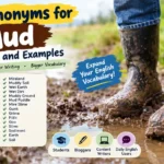 synonyms for mud
