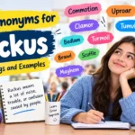 synonyms for ruckus