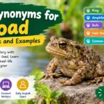 synonyms for toad